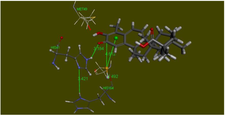 Figure 13