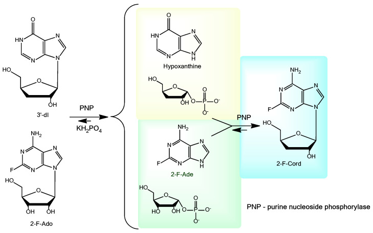 Scheme 2