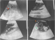 Figure 2.