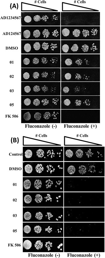 Figure 6