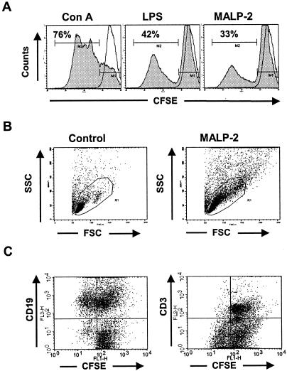 FIG. 1.