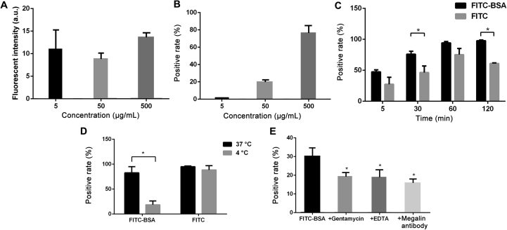 Figure 4