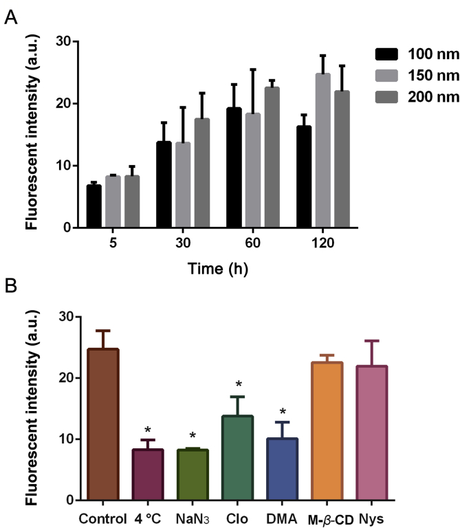 Figure 7