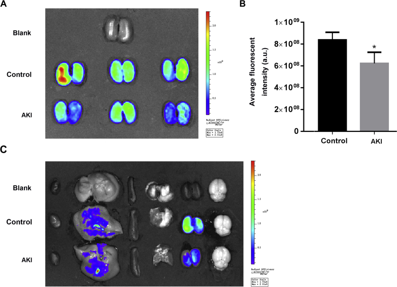 Figure 10