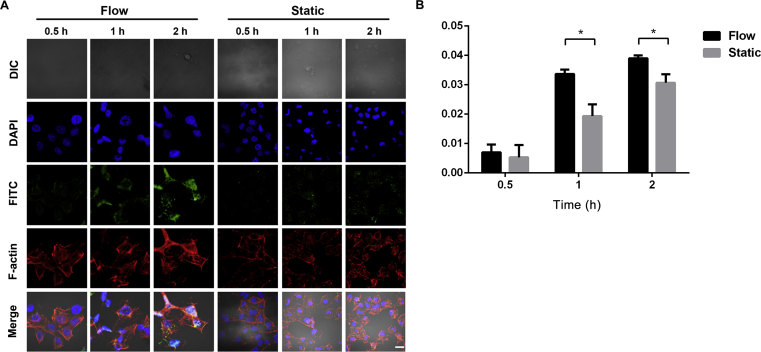 Figure 6