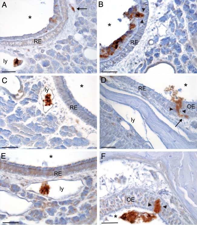 FIG 3