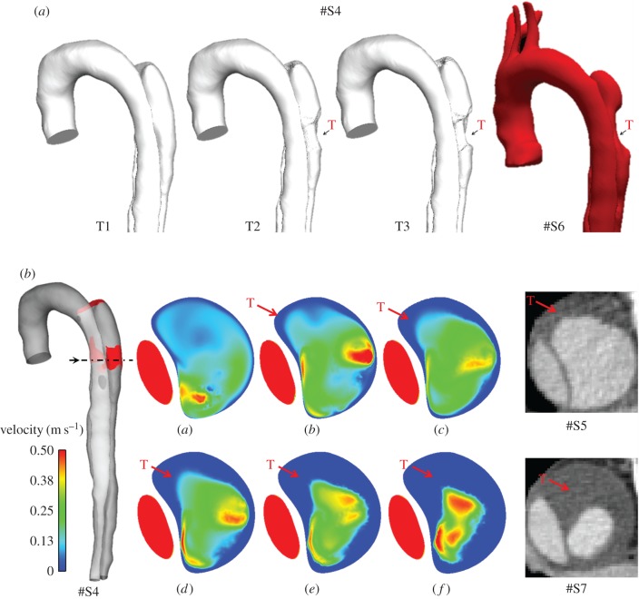 Figure 9.