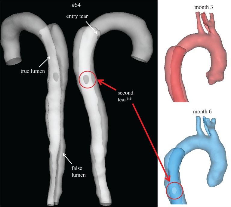 Figure 3.