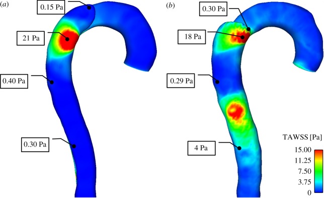 Figure 5.