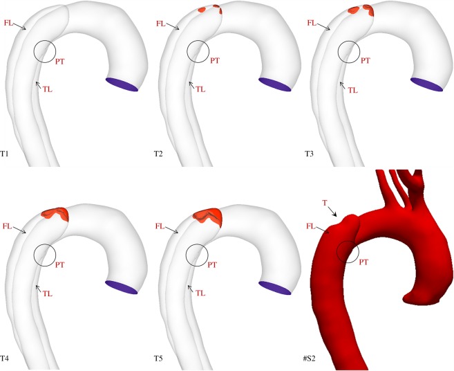 Figure 7.