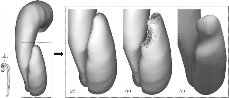 Figure 8.