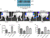 Figure 5: