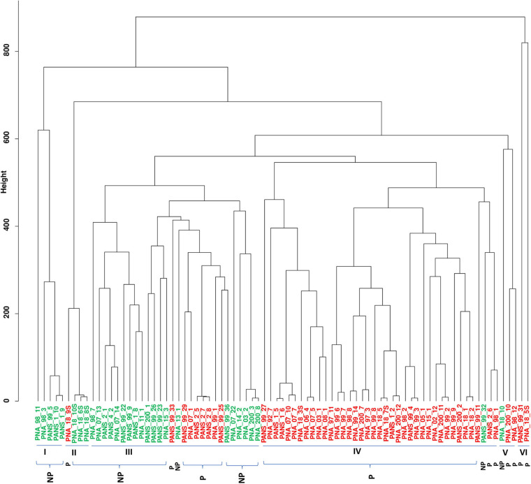 FIGURE 2