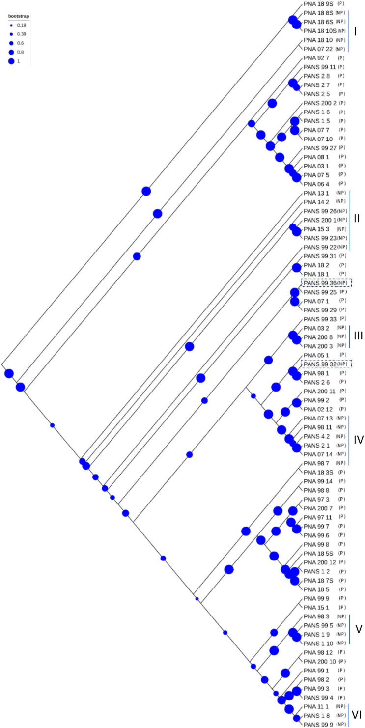 FIGURE 4