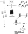 FIG. 4