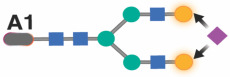 graphic file with name nihpp-2023.08.09.551369v2-t0012.jpg