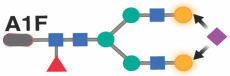 graphic file with name nihpp-2023.08.09.551369v2-t0013.jpg