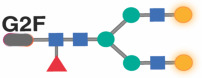 graphic file with name nihpp-2023.08.09.551369v2-t0015.jpg