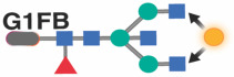 graphic file with name nihpp-2023.08.09.551369v2-t0005.jpg