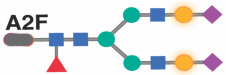 graphic file with name nihpp-2023.08.09.551369v2-t0017.jpg