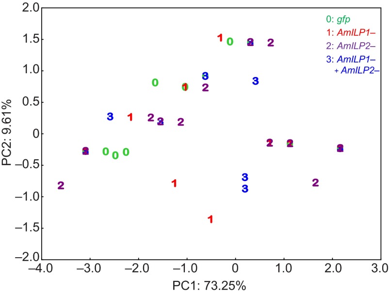 Fig. 7.