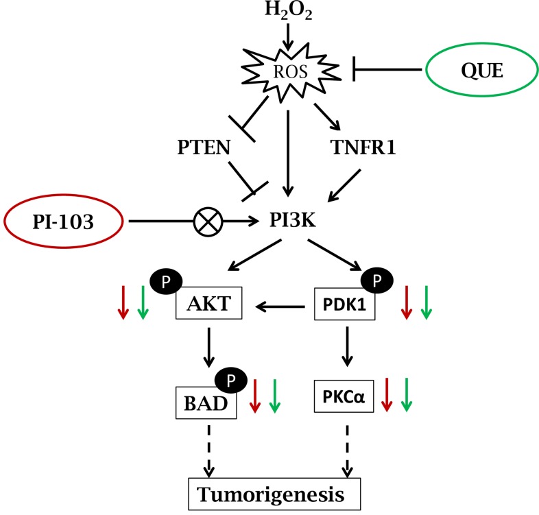 Fig 8