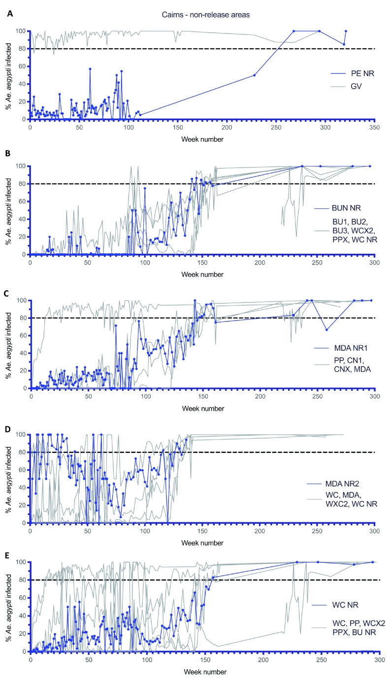 Figure 15. 