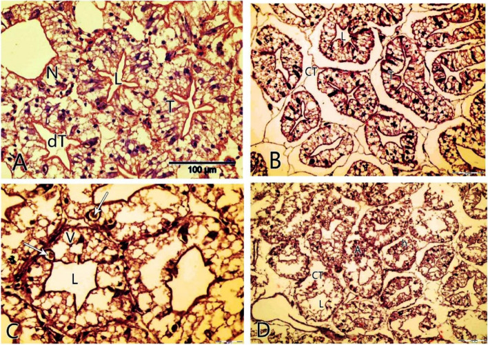 Fig. 7