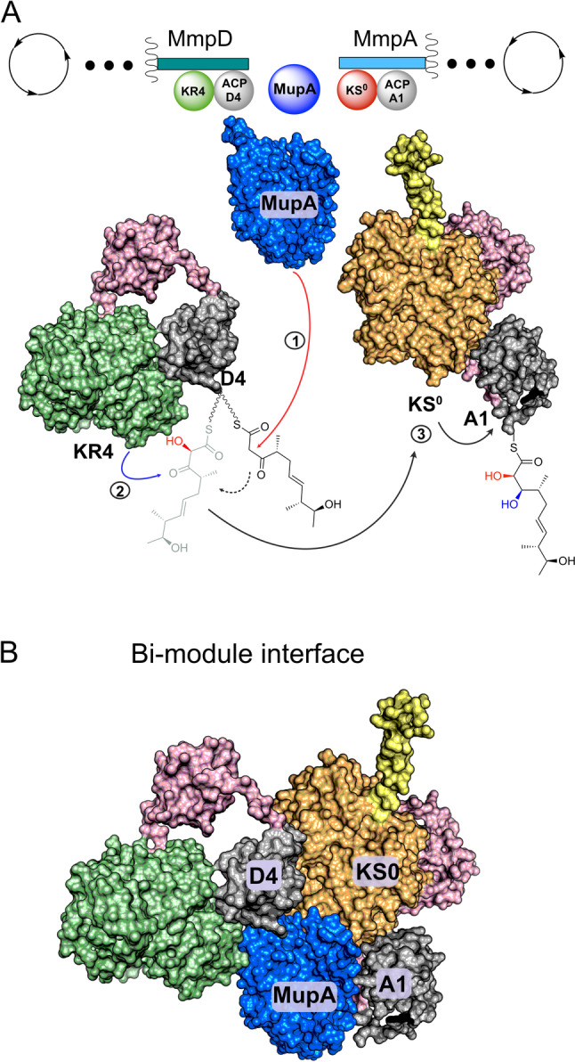 Figure 7