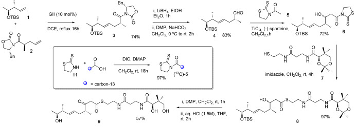 Scheme 1