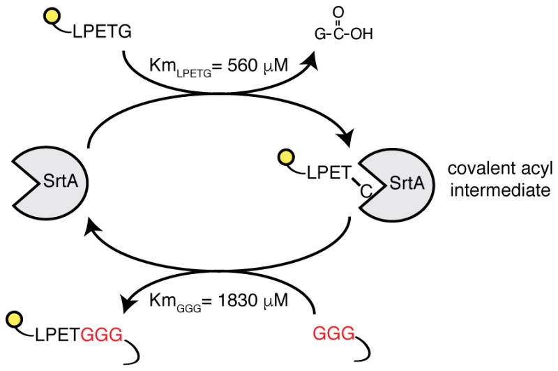 Extended Data Figure 1