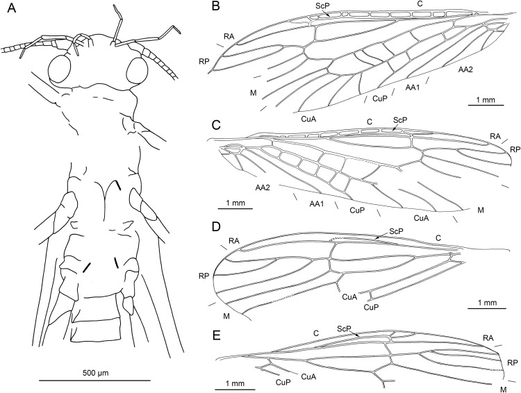 Figure 18