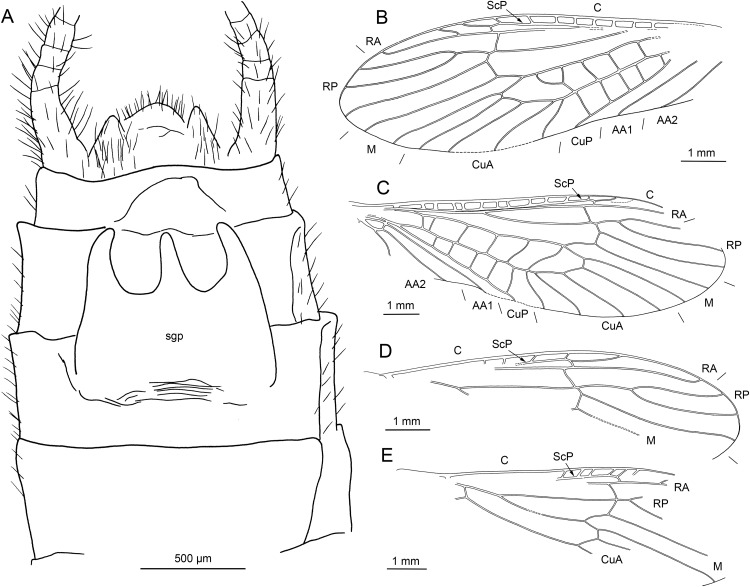 Figure 14