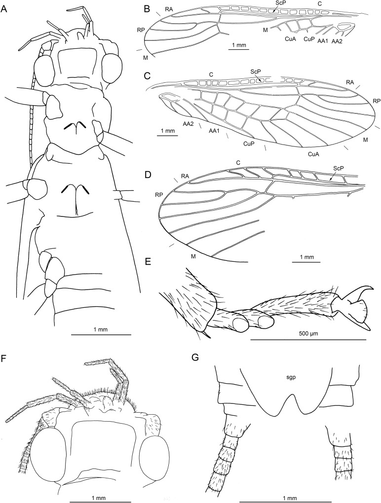 Figure 16