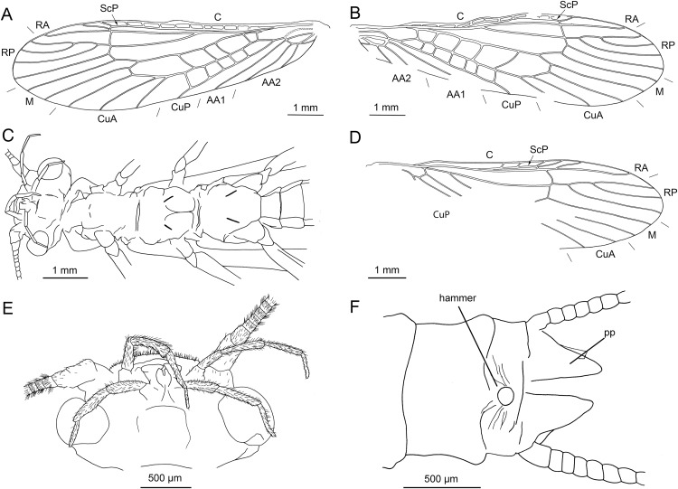 Figure 10