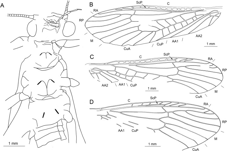 Figure 12