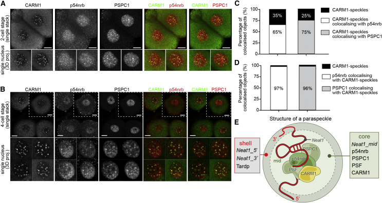 Figure 2