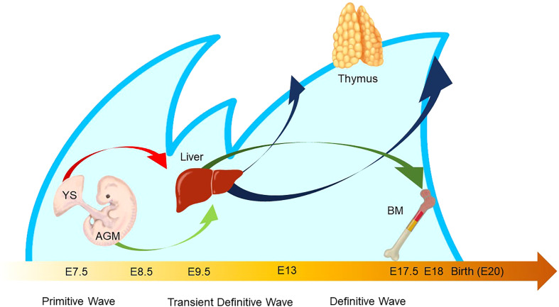 Figure 5