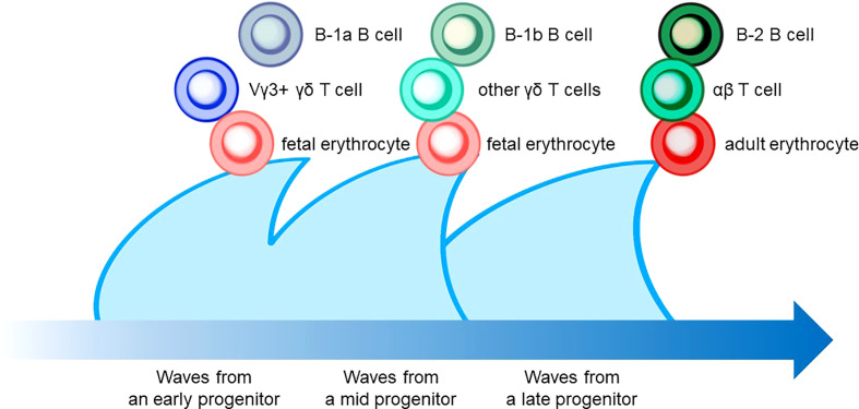 Figure 4