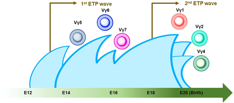 Figure 3