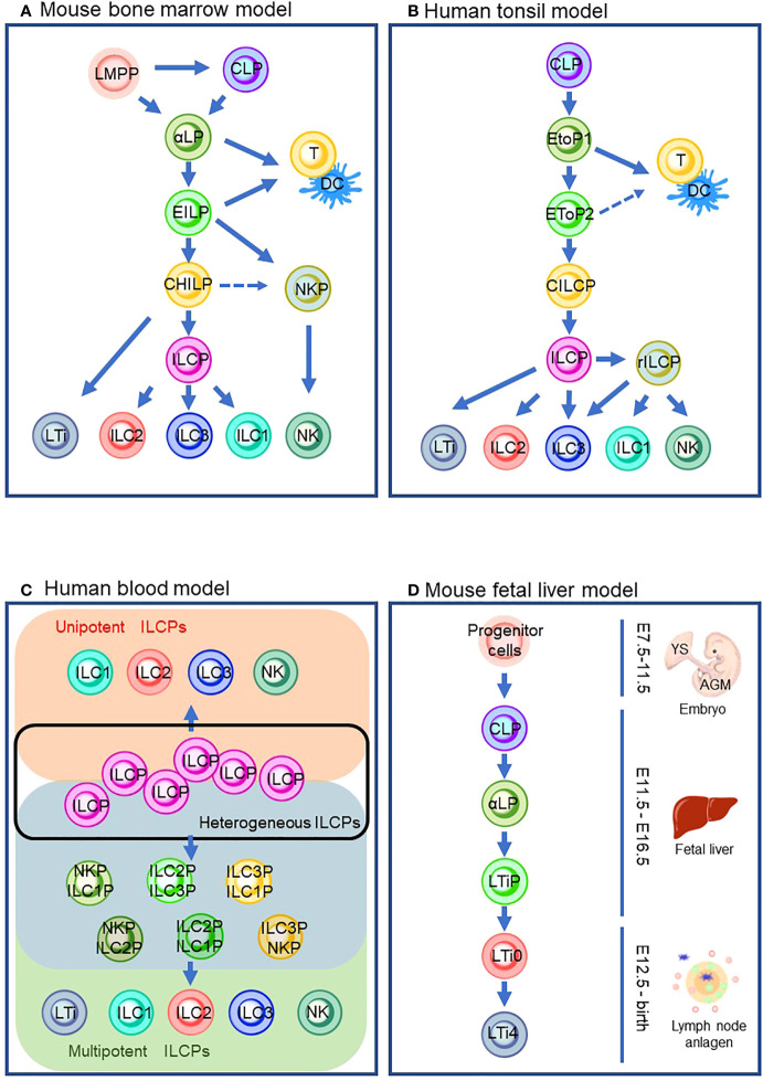 Figure 1