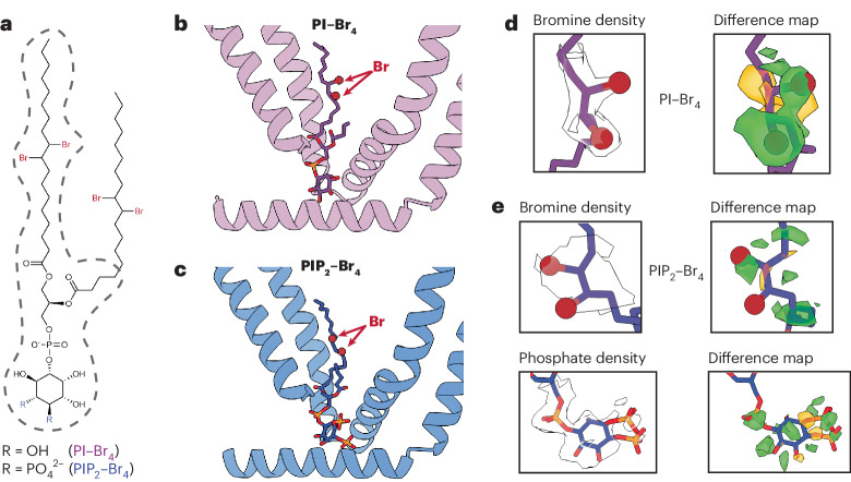 Fig. 2