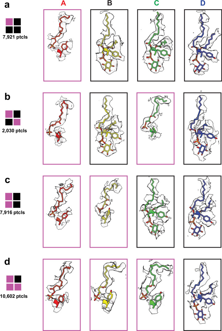 Extended Data Fig. 6