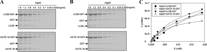 FIGURE 4.