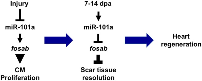 Fig. 8.