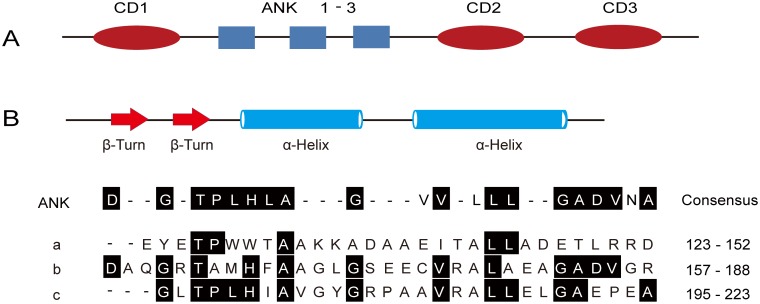 Fig 5