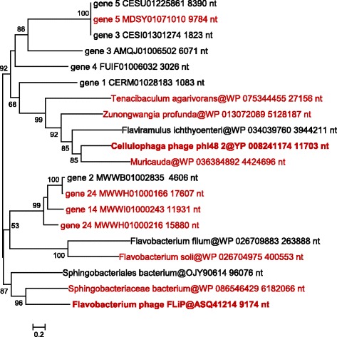 Fig. 11