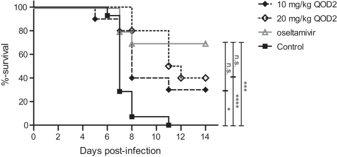 FIG 10