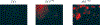 FIGURE 6: