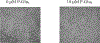 FIGURE 5: